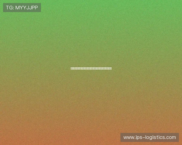 沙特阿拉伯与佛得角队阵容深度分析：世界杯小组赛关键看点